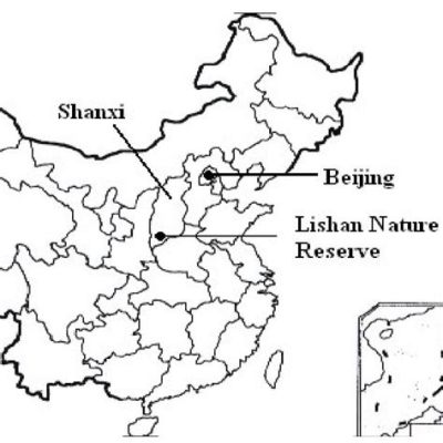 啊麗山在哪個省：地理位置與文化意涵的雙重探索