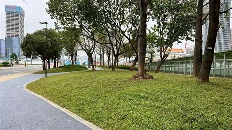 龍崗公園怎麼樣 你可以從不同的角度欣賞它